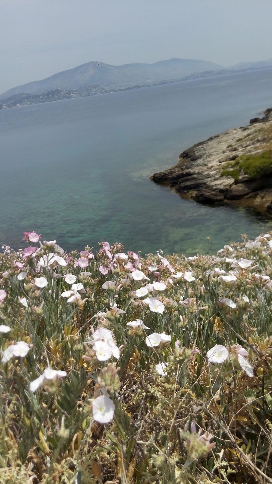 img_20150522_130939_6cs